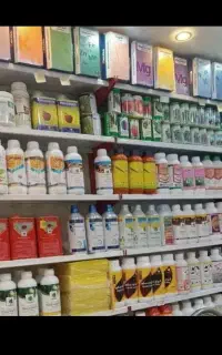 سمپاشی ساس شپش سوسک کرج عظیمیه گوهر دشت شاهین ویلا