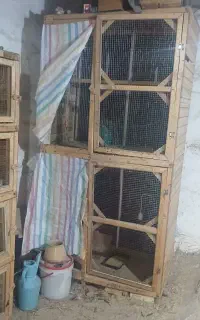 لانه یا نی پران