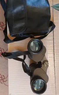 دوربین دو چشم