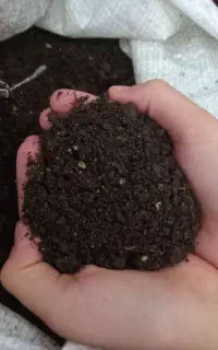 ورمی کمپوست