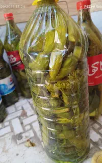 خیارشور سرکه ای بادمجون شکم پر