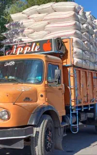 فروش کاه گندم دیم کرمانشاه