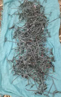 سیخک