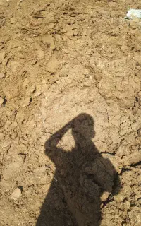 کود درجه یک برای باغ و کشاورزی