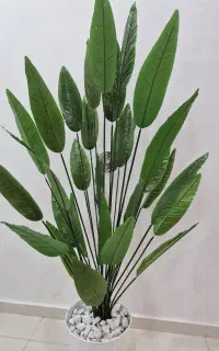 درختچه مصنوعی پرنده بهشتی ۳۰برگ ۱۹۰ سانت