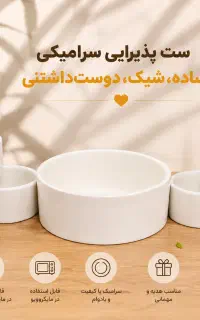 ظروف سرامیکی