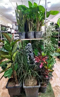 گلسرای مریم بانو بار جدید رسید