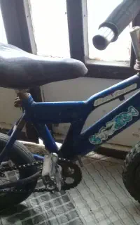 ‌دوچرخه