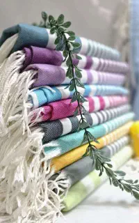 حوله استخری