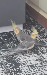 ۲۸۰۰۰۰۰