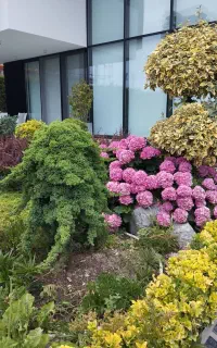 نظافت ویلای شخصی و اجاره ای