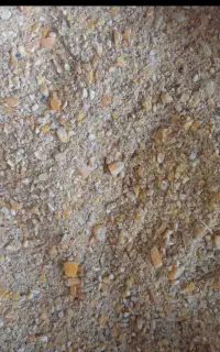 دانه مخصوص جوجه مرغ