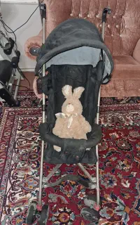 کالسکه دلیجان اصلی