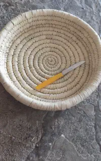 جا نونی و جای میوه
