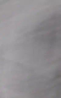 پشم گوسفند کیلو ۳۰هزارتومن