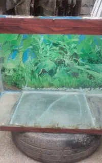 آکواریوم