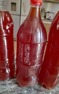 فروش آب غوره تازه دیم