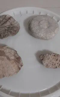 سنگ.ف‌س‌ی‌ل...نیازمند کارشناسی