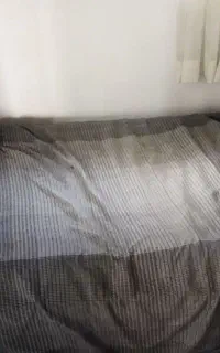 تخت