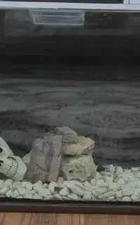 آکواریوم