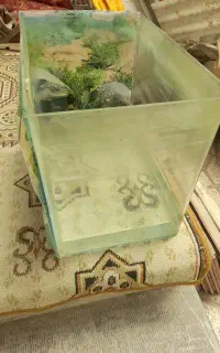 آکواریوم