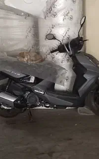 فونیکس 150FX
