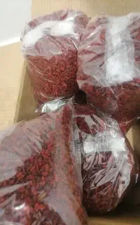 زرشک پفکی درجه یک
