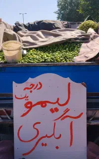 لیمو آبگیری درجه یک