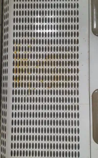 هود