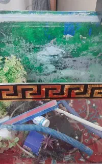 اکواریوم