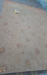 موکت