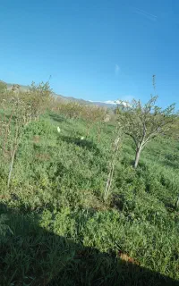 راهنمایی