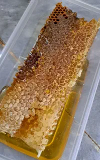 عسل گون درجه یک