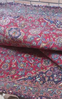 فرش دست بافت فوری به خاطر مهاجرت