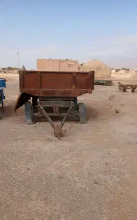 تریلی