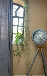 گل با گلدان