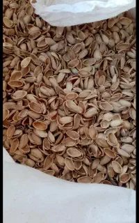پوست پسته