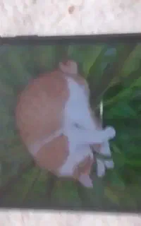 فروش گوشی ردمی نوت۸