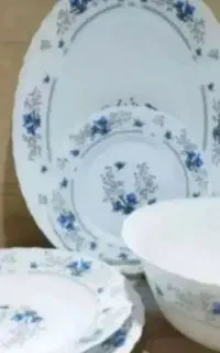 سرویس آرکوپال