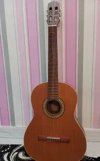 گیتار parsi