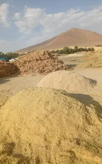 کاه