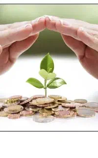 جذب سرمایه گذاری مشارکت در نتایج