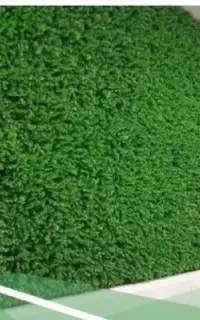 ۱۰متر مربع گرین وال