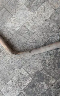 سنتر ایف سون