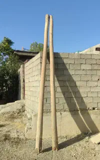 بهترین چنار وچوب ساختمانی