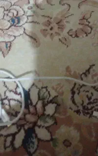 سیم. شارژر موبایل