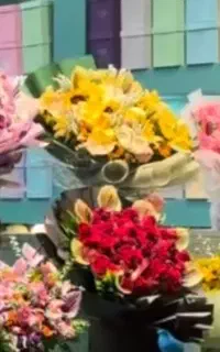 رز هلندی با کیفیت فقط شاخه ای ۲۰هزار تومان