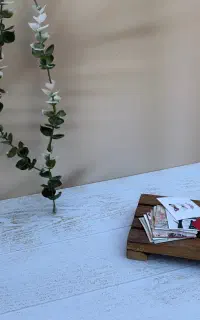 بکدراپ عکاسی