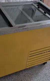 فریزر صنعتی فریدونی