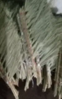 جارو‌فروشی